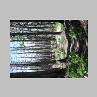 16July2014 VistaRidgeTrail 033.jpg